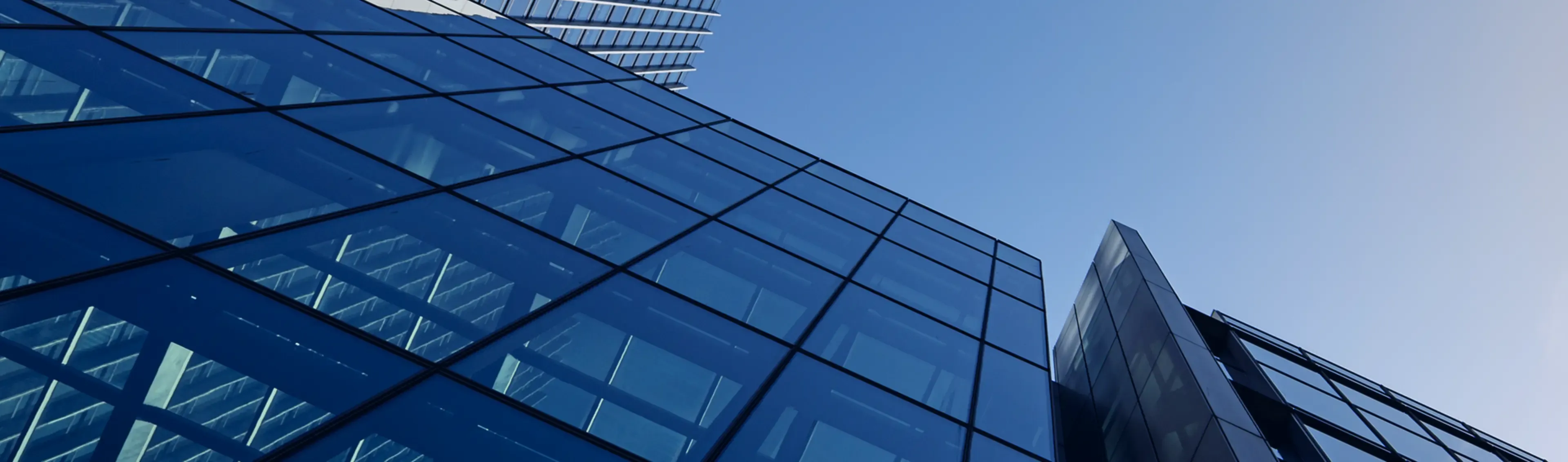 부톡 메인 슬라이드 배경 이미지